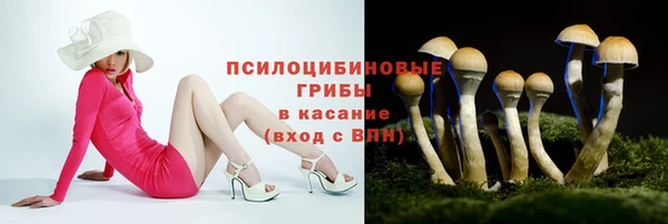 каннабис Алзамай