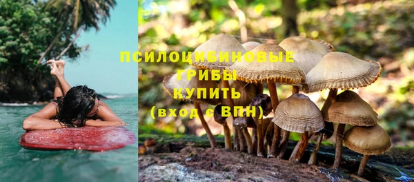 каннабис Алзамай