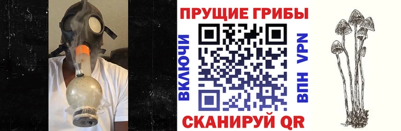 ОМГ ОМГ tor  Кирс  Псилоцибиновые грибы Psilocybe  купить наркоту 